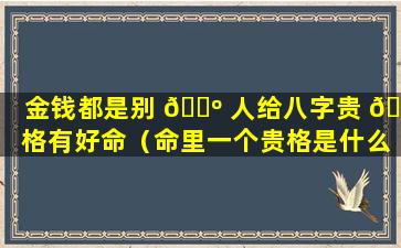 金钱都是别 🐺 人给八字贵 🌳 格有好命（命里一个贵格是什么意思）